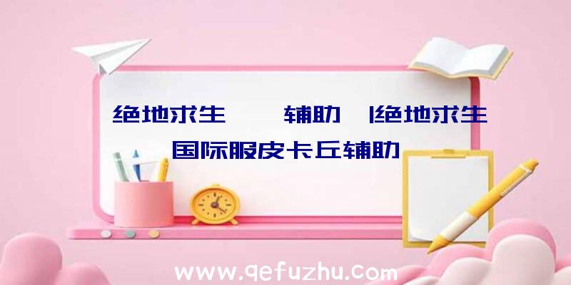 「绝地求生哒哒辅助」|绝地求生国际服皮卡丘辅助